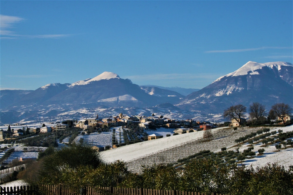 Photo 40