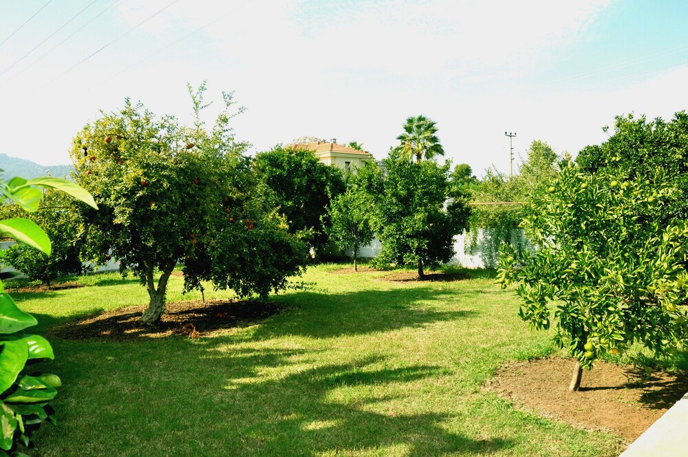 other