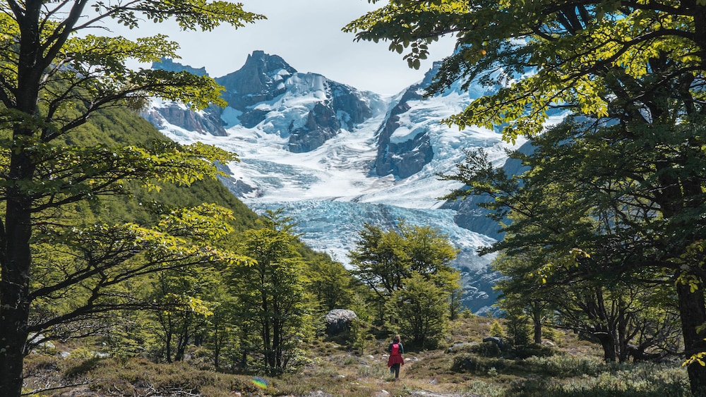 REFUGIO DE GLACIARES