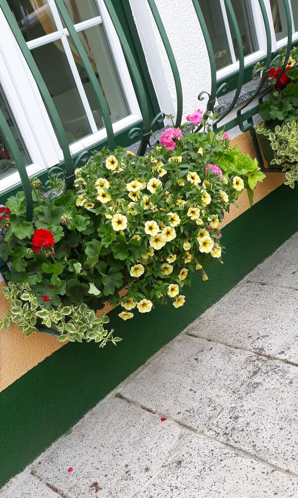 Photo 46