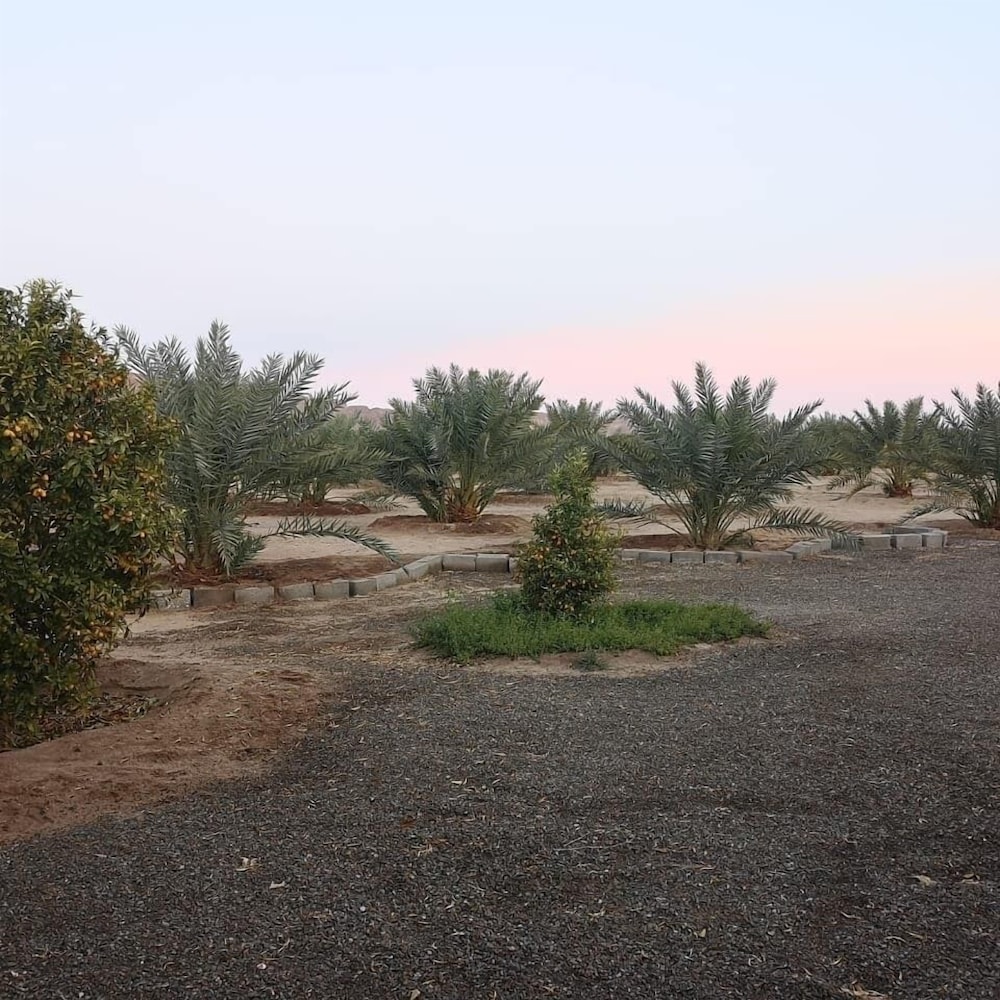 Almazham Farm House In Madin Saleh Alula — الصور