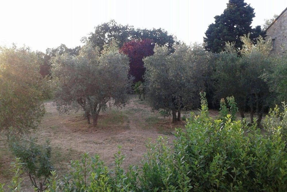 Photo 40