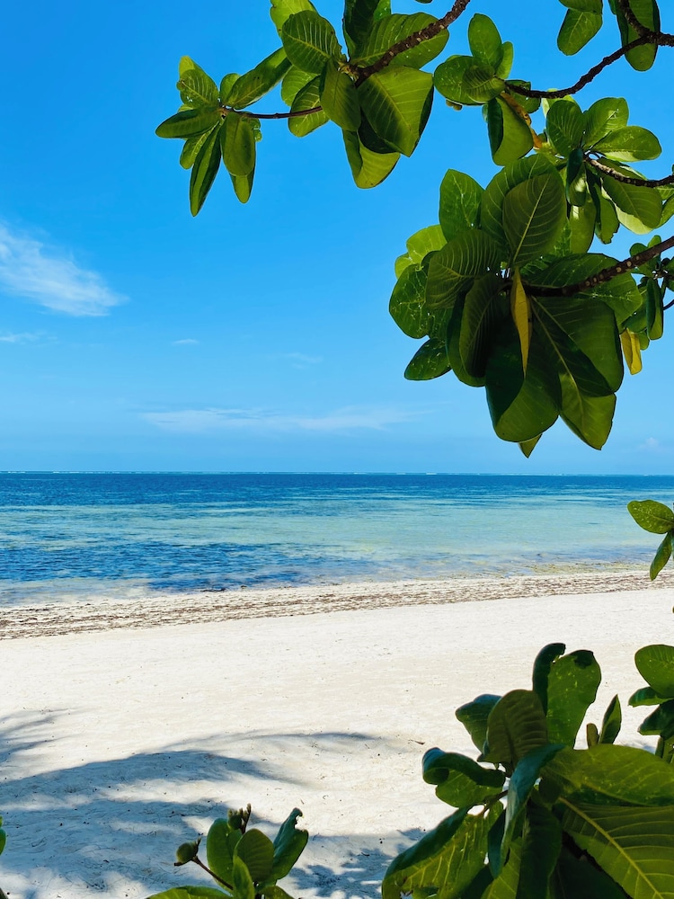 Luxury Lions Villas Zanzibar - with Private Cook&Infinity Pools
