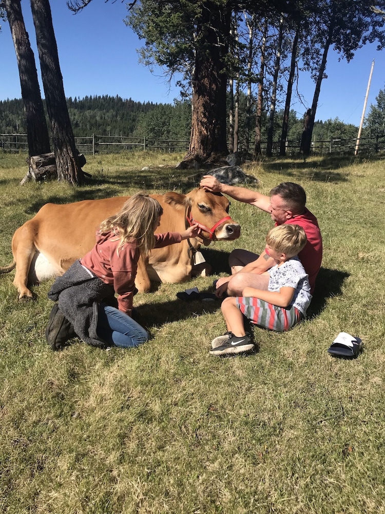 Montana Hill Guest Ranch