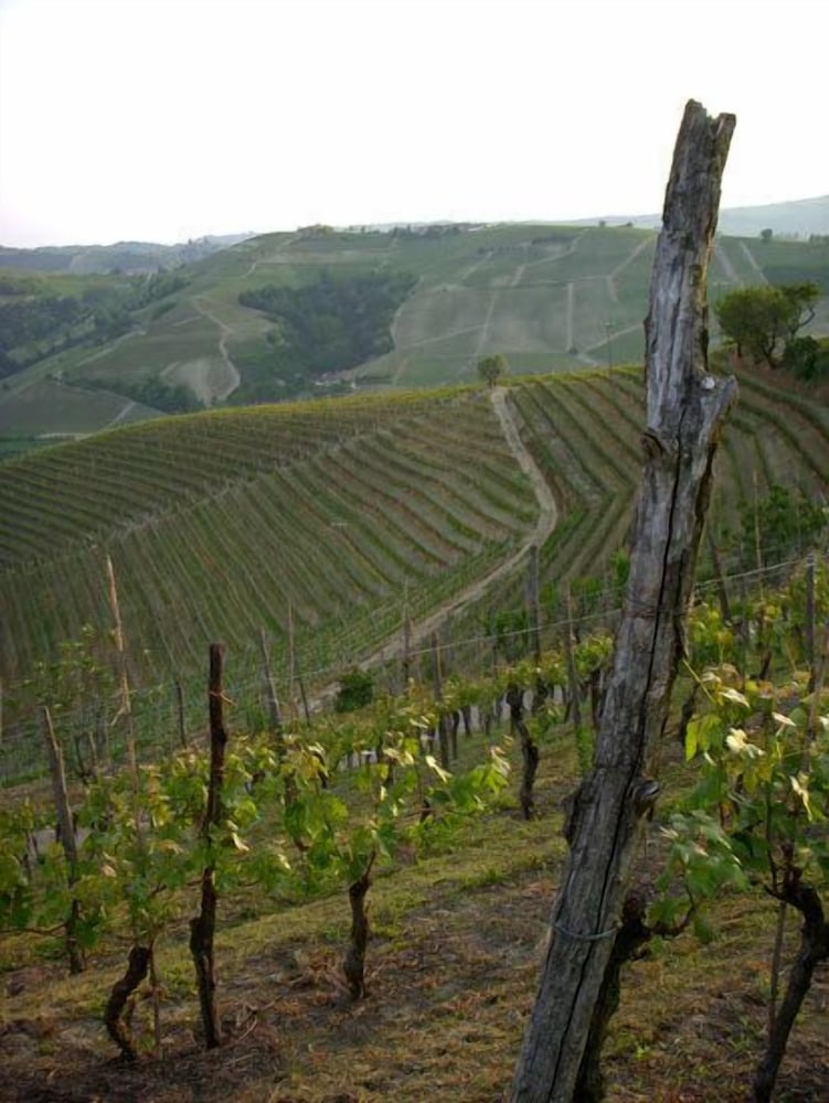 Tenuta Cappallotto