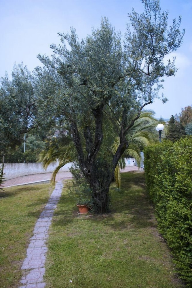 Photo 22