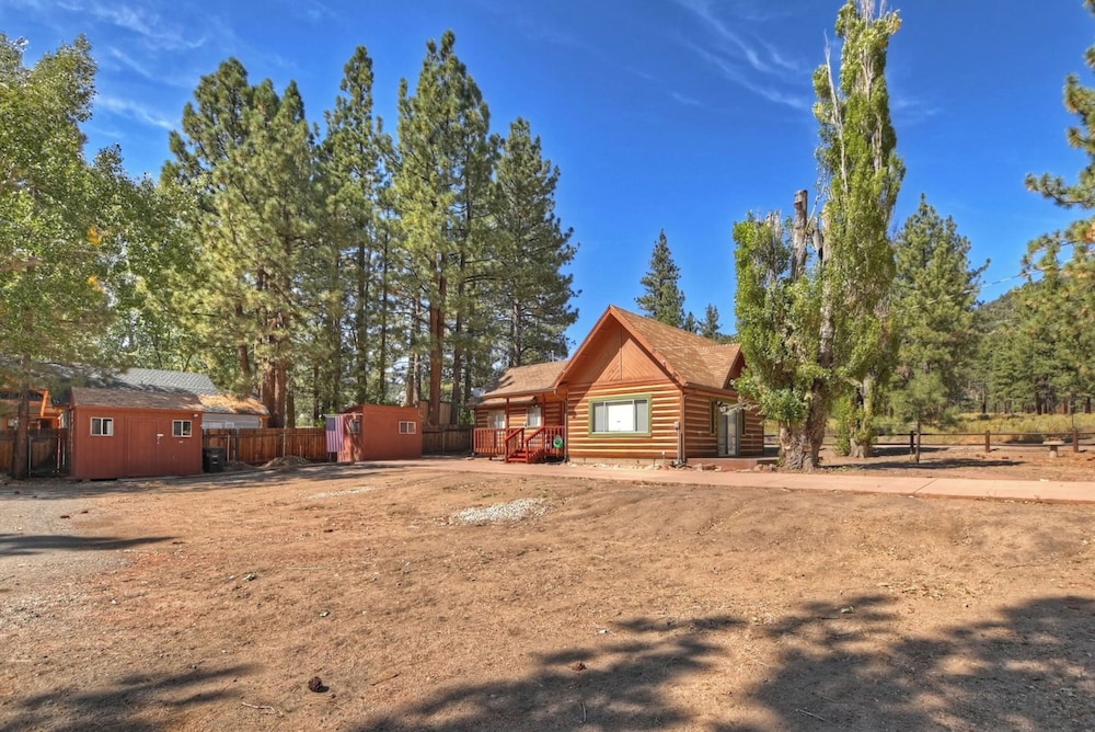Brother Bear Cabin