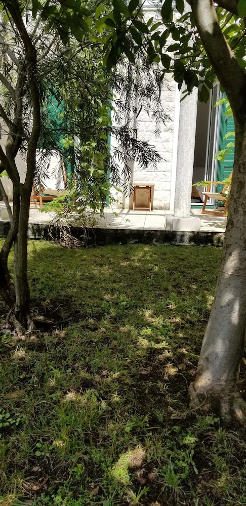 Photo 34
