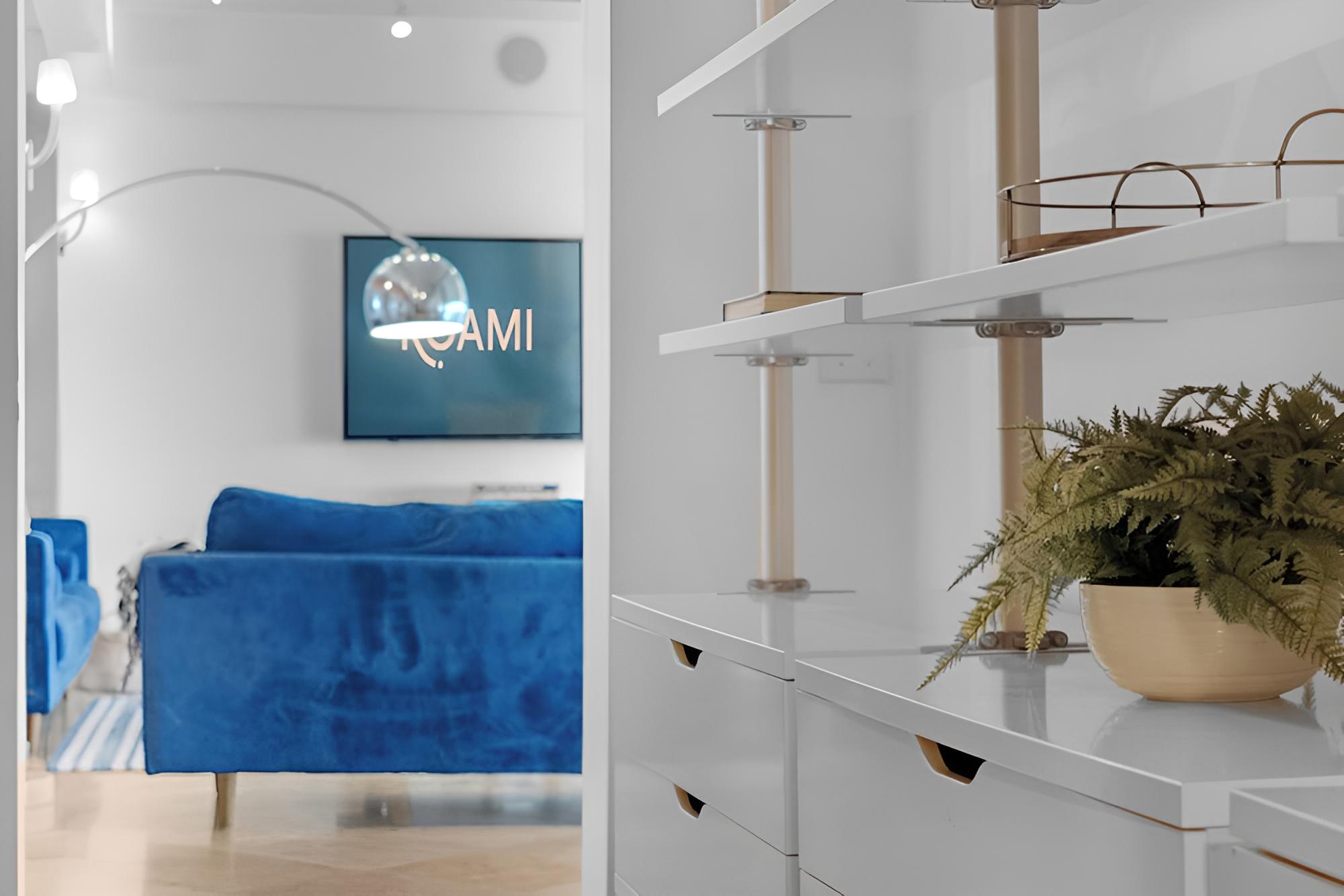 Roami at Biscayne Penthouse