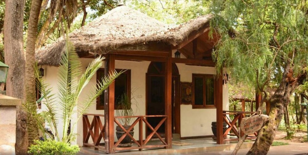 Photo 12