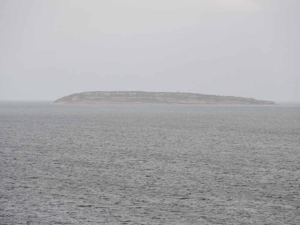Gwyder