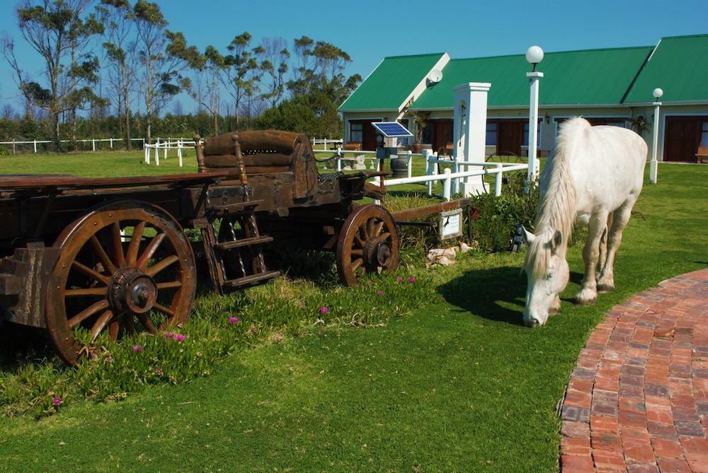 T'Niqua Stable Inn
