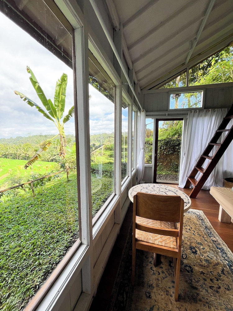 Frame Cabin with Endless Rice Field View