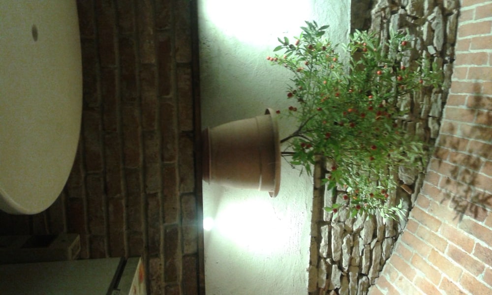 Agriturismo Schlin