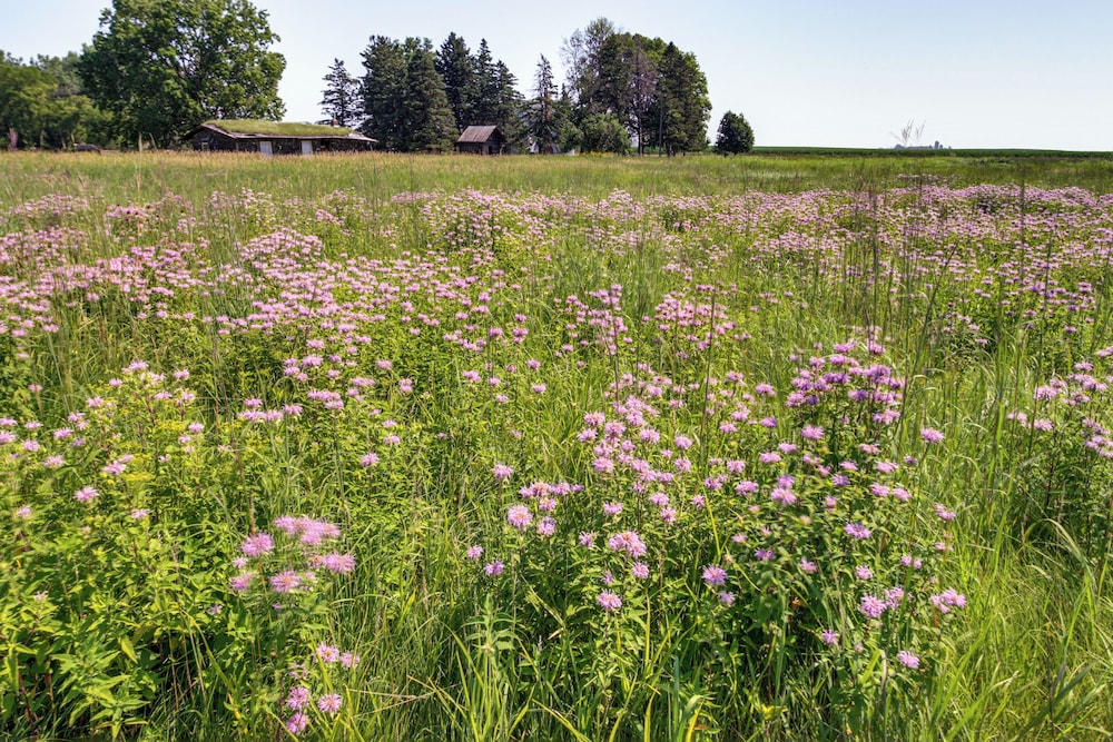 Pioneer-era Retreat in Sanborn w/ Museum Access