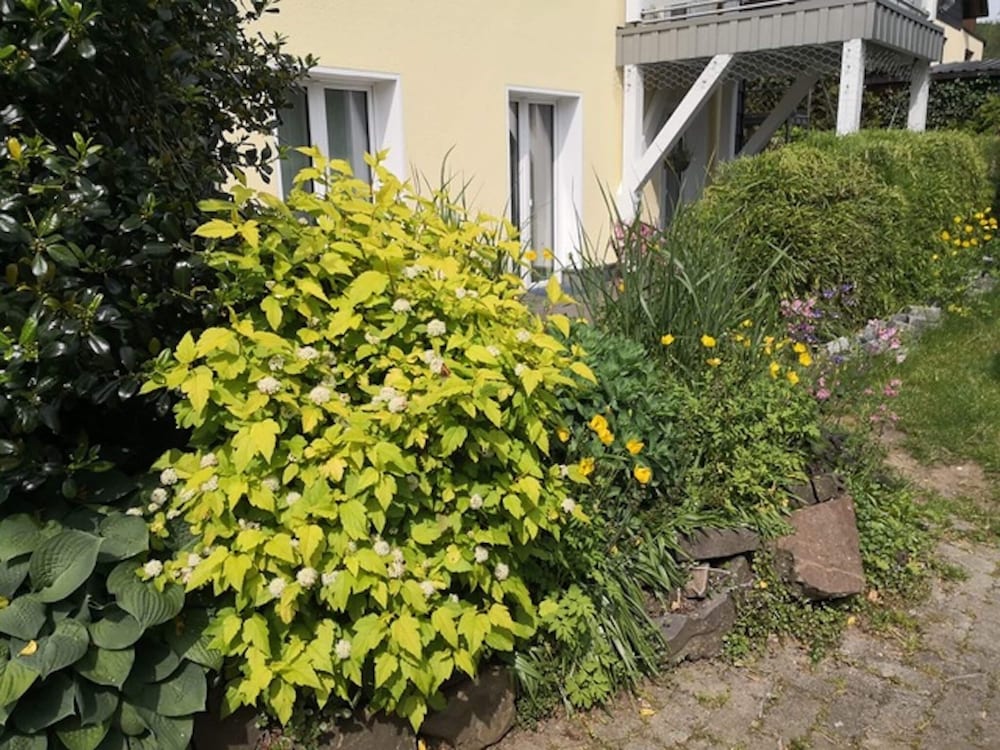 Apartment in Herscheid-sauerland With Balcony