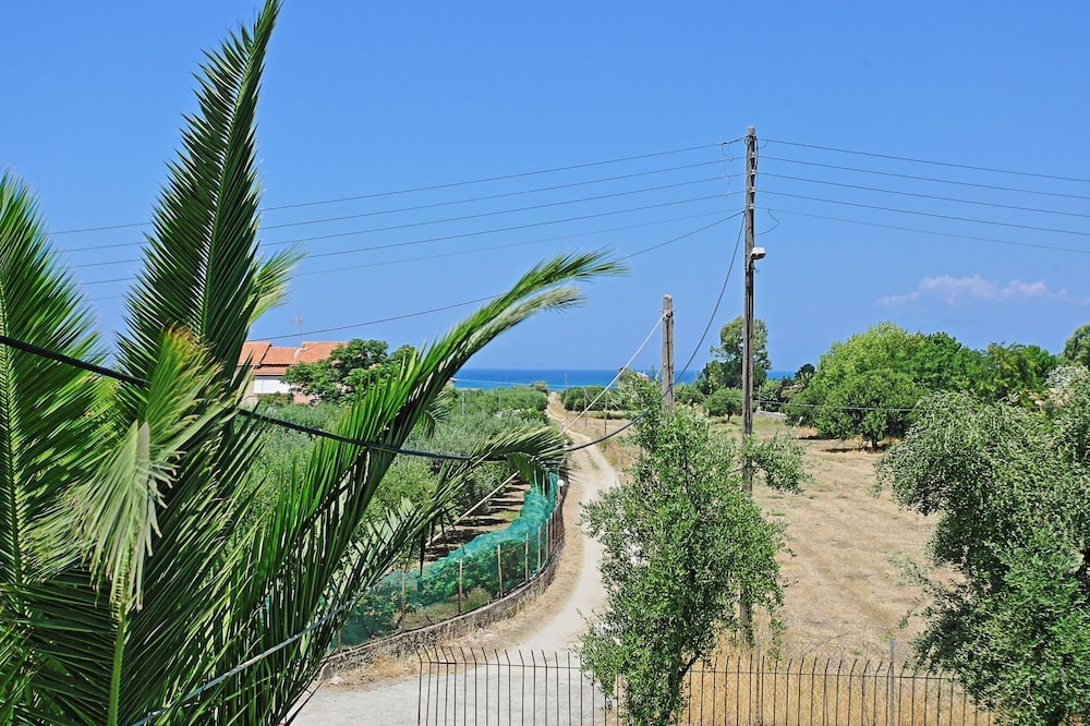 Photo 20