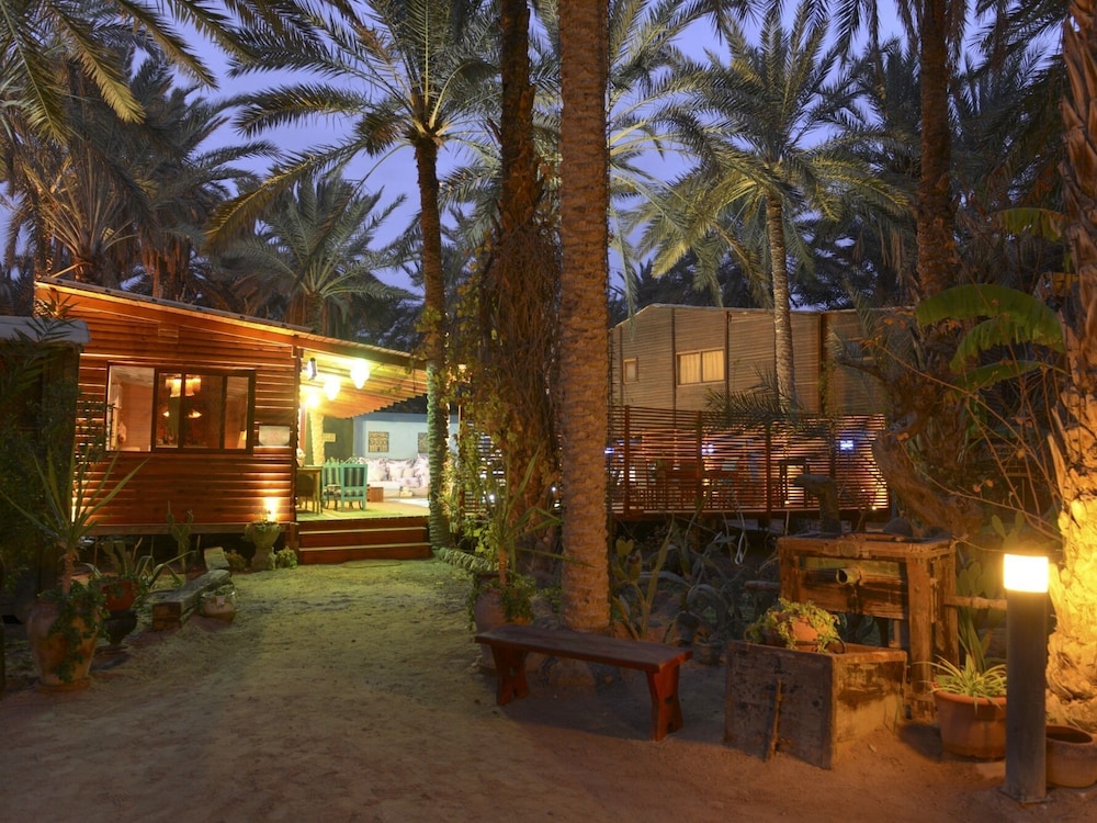 Tozeur Vacations - Hotel Diar Abou Habibi - Property Image 15