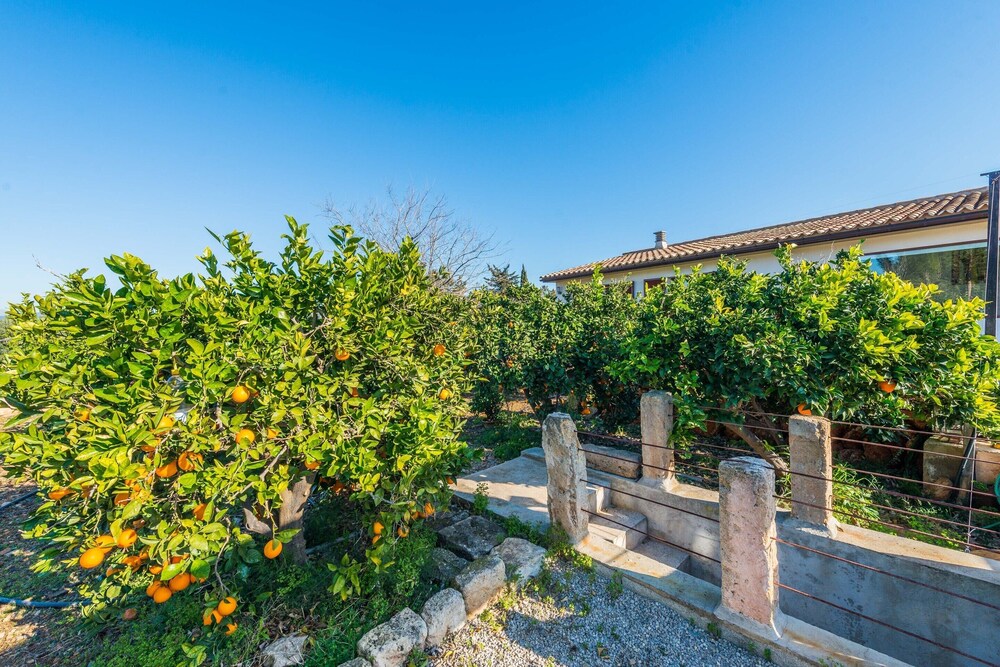 Es Serral - Villa With Private Pool In Sa Pobla photo 2