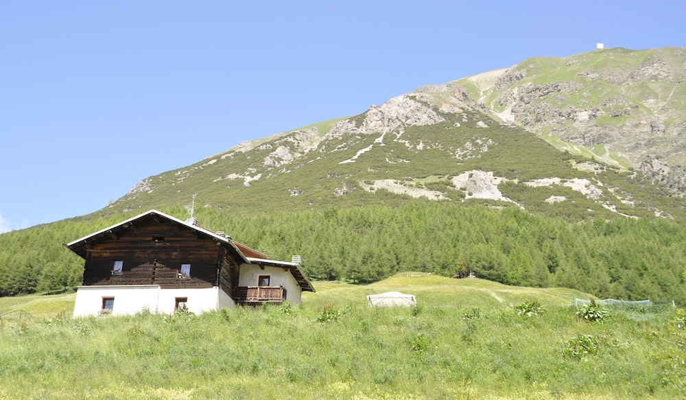 Appartamenti Green