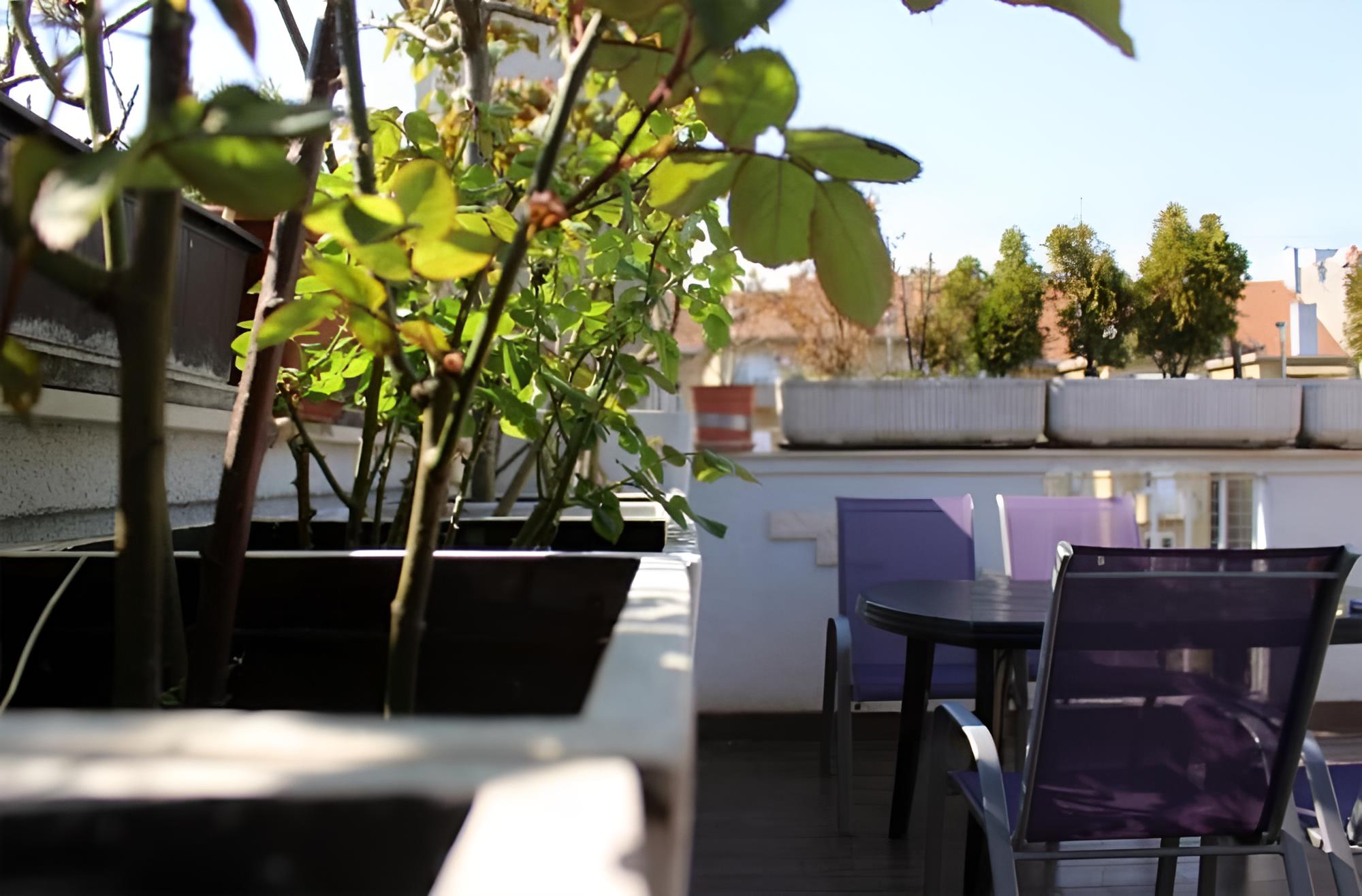 Ive - With Terrace - A1 photo 3