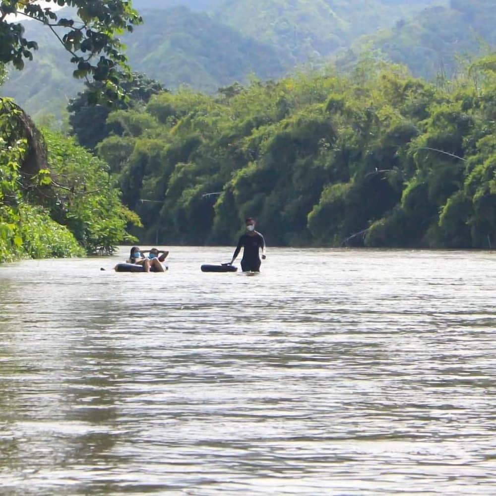 La Natura Hostel - Property Image 4