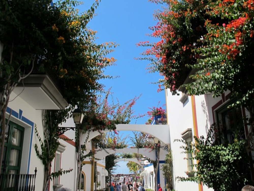 Photo 14