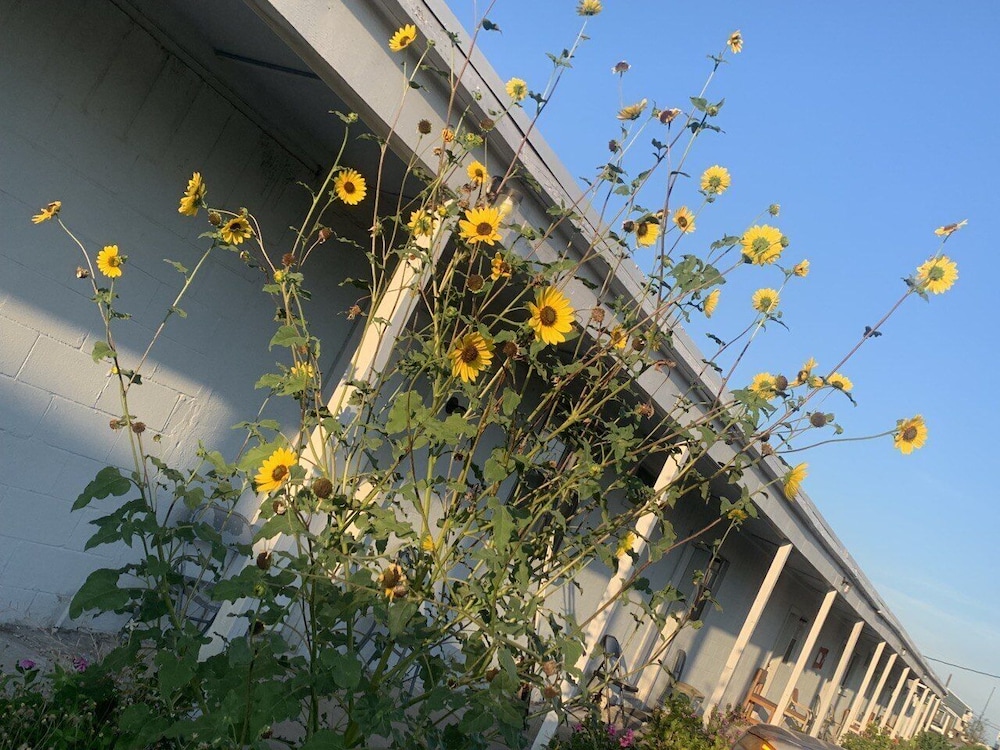 other