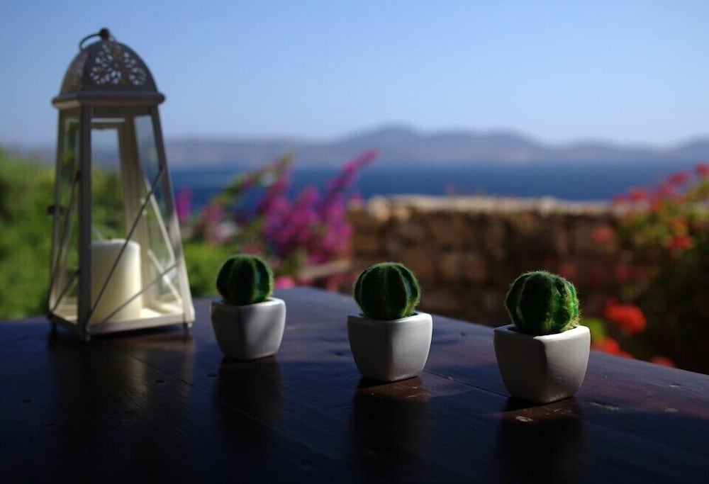 Eirini's Luxury Hotel Villas