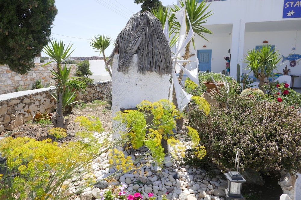 Photo 41