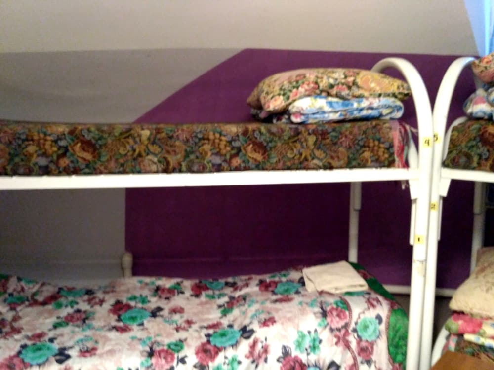 JUNGLE - Hostel