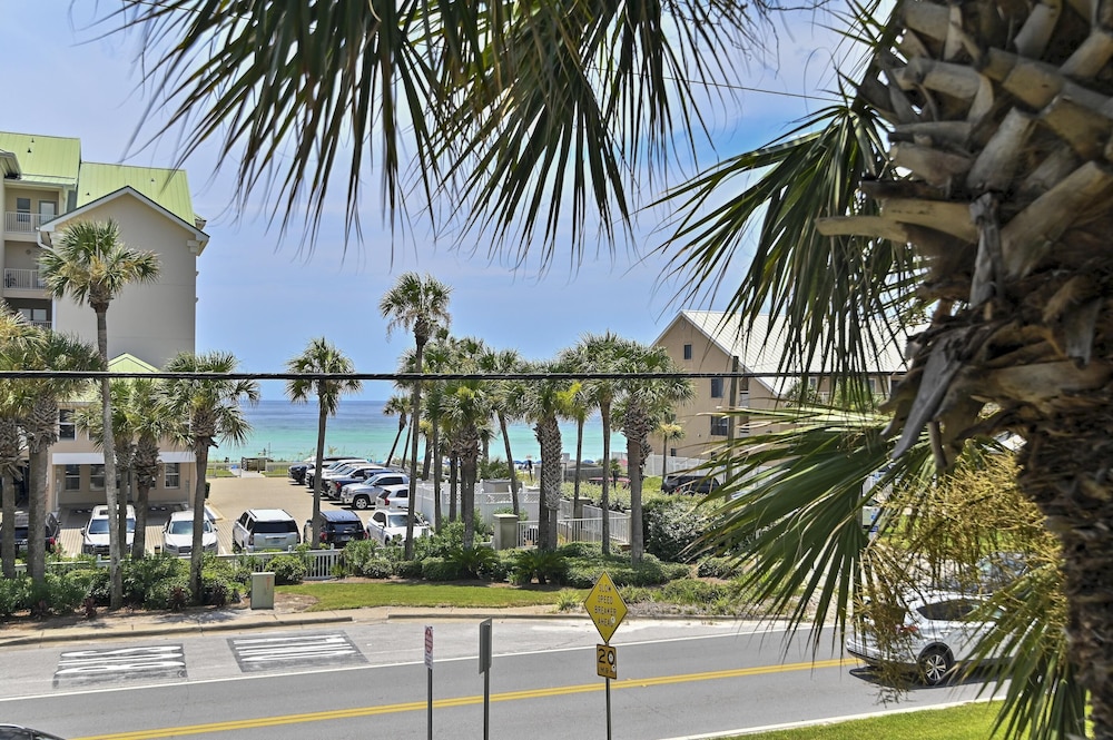 Caribbean Dunes 203
