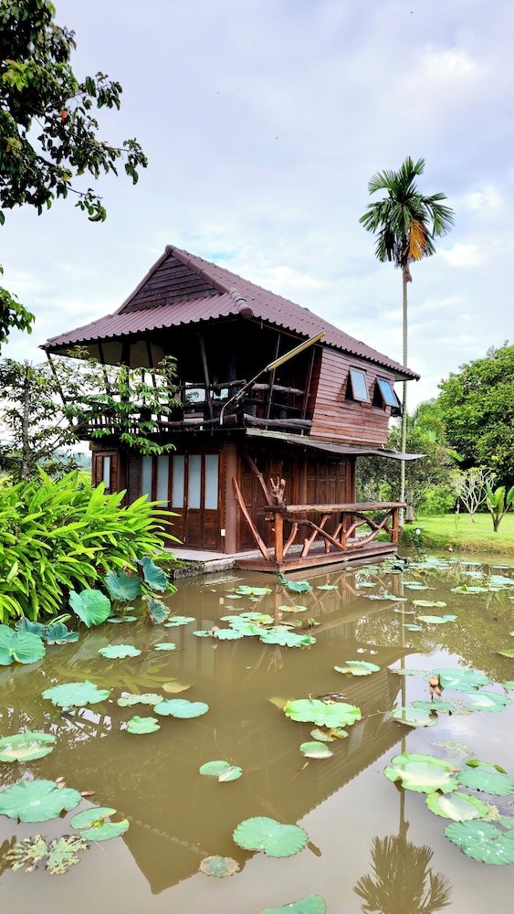 Natura Ravee Greenstay view 2