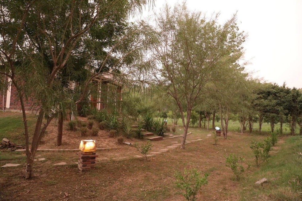 Photo 31