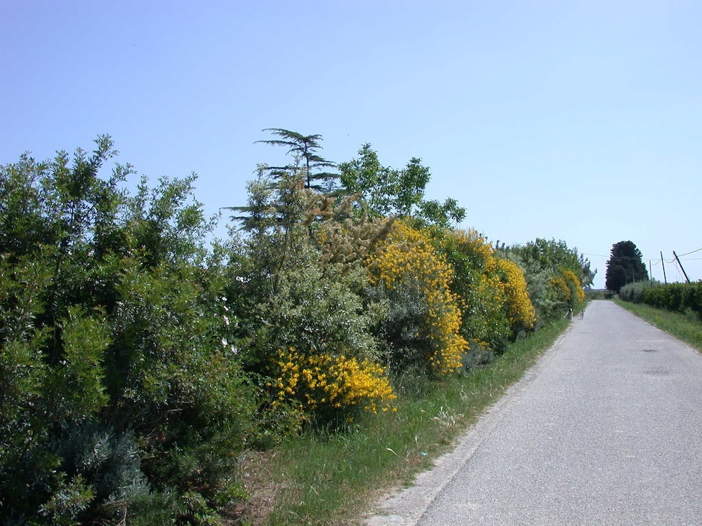 Casavacanze BioMele, Foto 23
