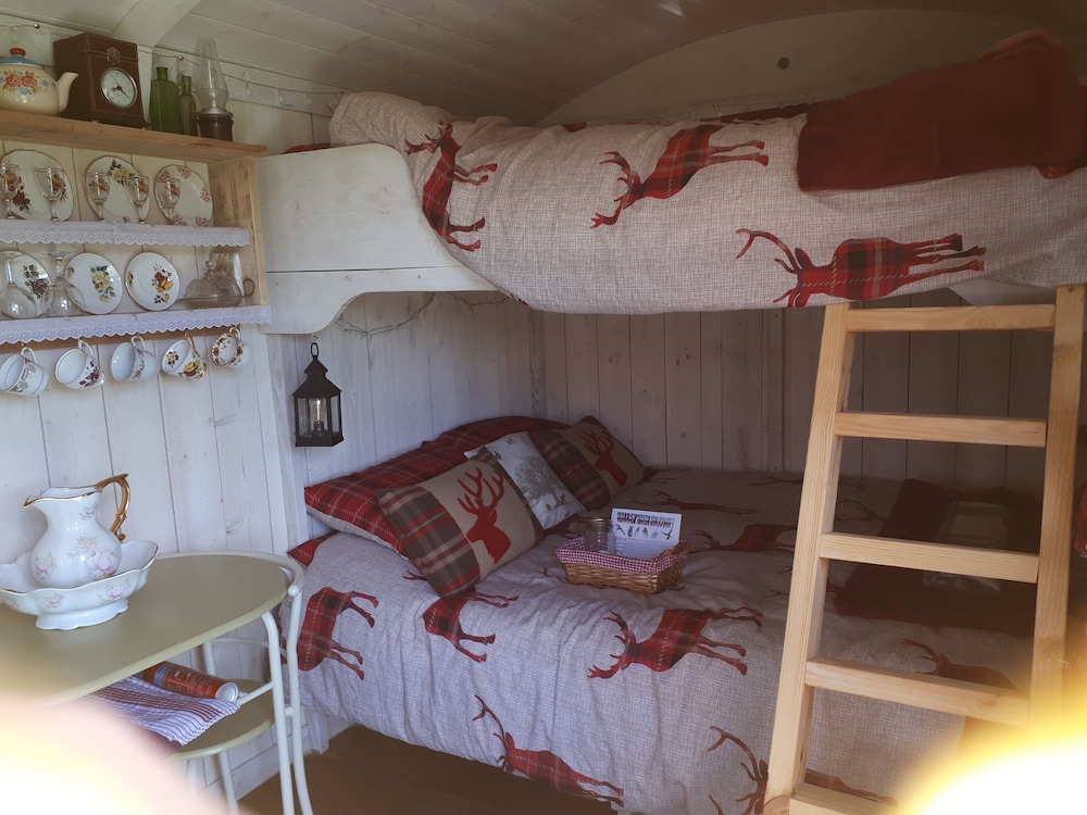 Meadow Shepherds hut view 3