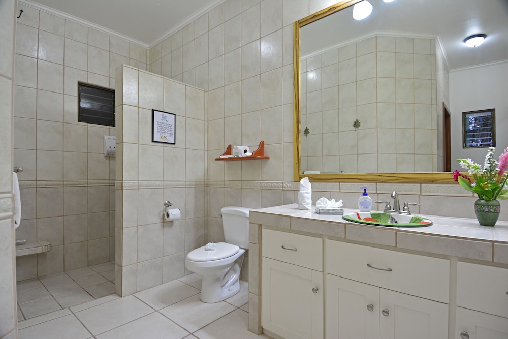 Arenal Observatory Lodge & Trails 76