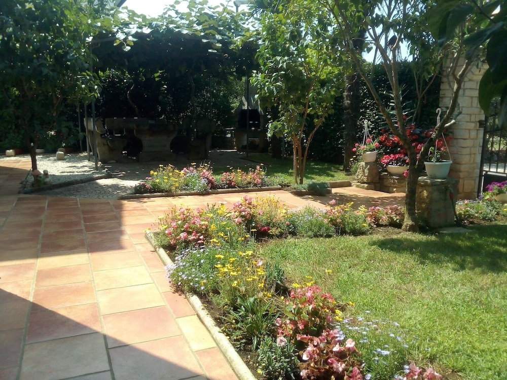 Photo 10