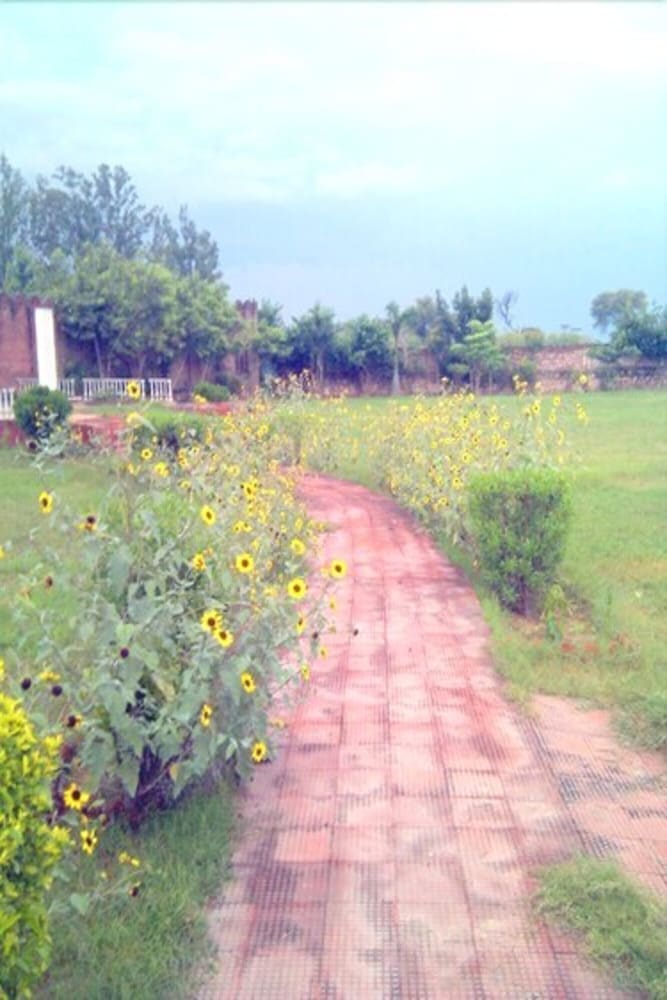 Photo 14
