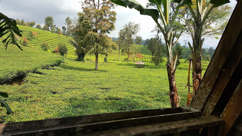 Argapuri Jungle Resort