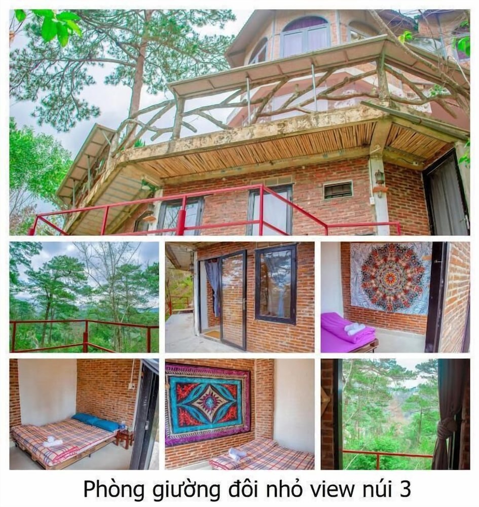 Maple Hostel