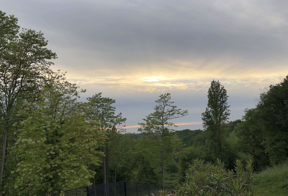 L'îlot Vignes