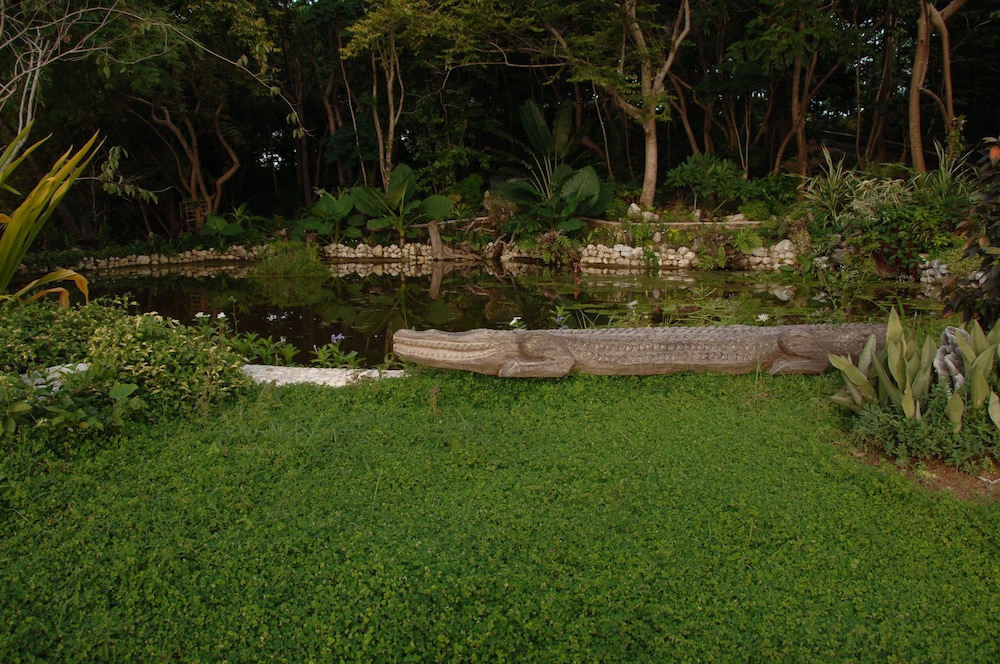 NoaNoa Island
