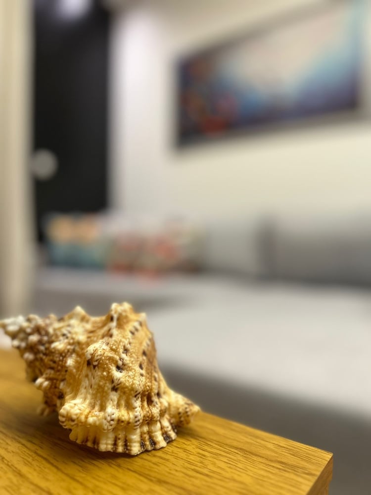 APARTAMENTO ALTO PADRÃO CENTRO ITAJAÍ