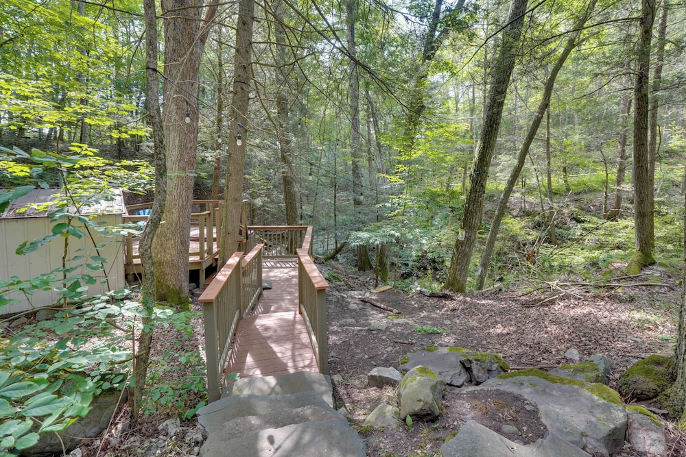 Creek Dips & Smores: Catskills Gem
