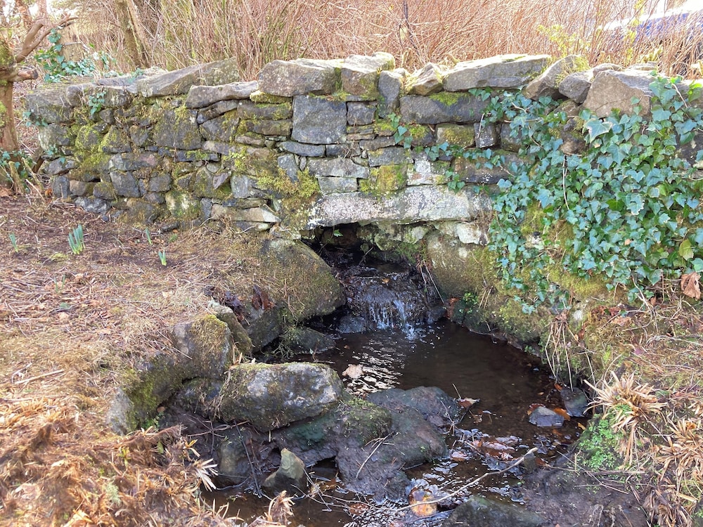 Photo 41