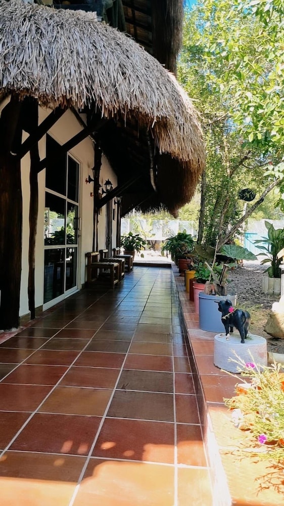 Hostal el refugio del tiburon