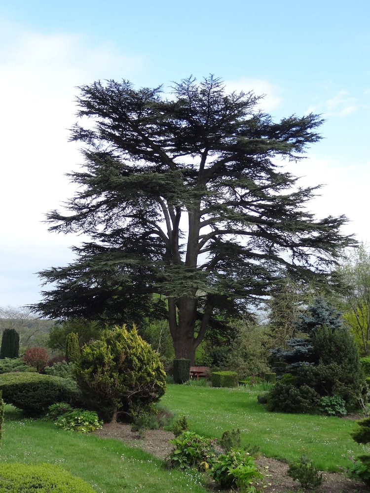 Le Prieure d'Orchaise
