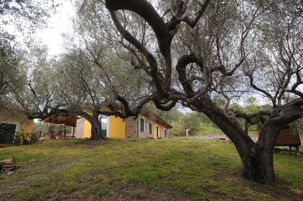 Barnìa - Agriturismo