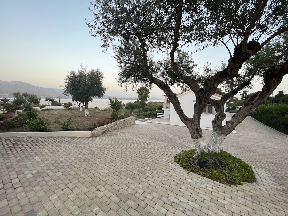 Apollonides Seafront Villa 2 “Melete” view 3